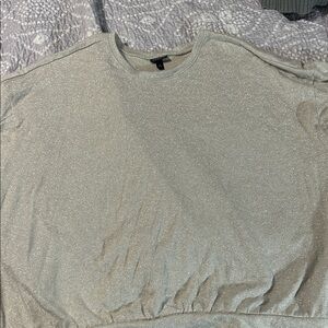 Torrid Silver Sparkle Sweatshirt